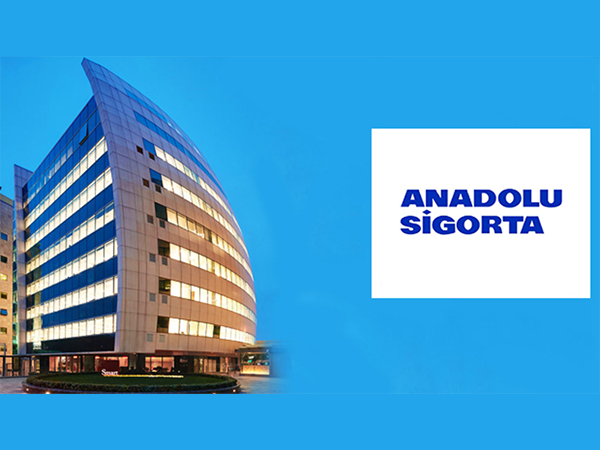anadolu anonim sigorta değer kaybı anadolu anonim sigorta değer kaybı