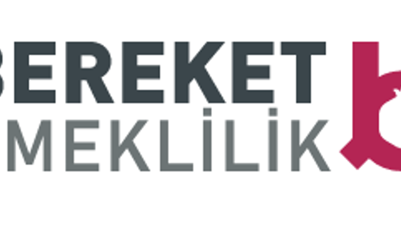 Bereket Sigorta AŞ. değer kaybı Bereket Sigorta AŞ. değer kaybı
