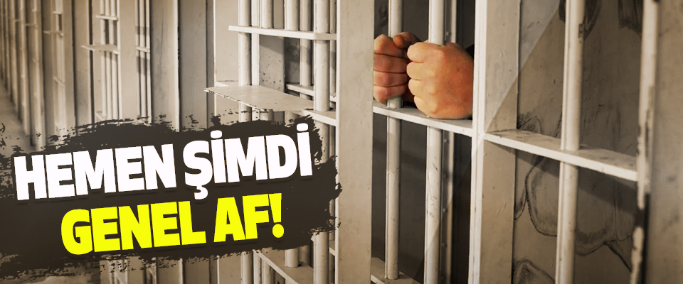 genel af hangi suçları kapsar Genel af hangi suçları kapsar
