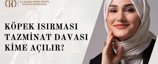 Köpek Isırması Tazminat Davası Kime Açılır, Ne Kadar Tazminat Alınır? 8 Köpek Isırması Tazminat Davası Kime Açılır