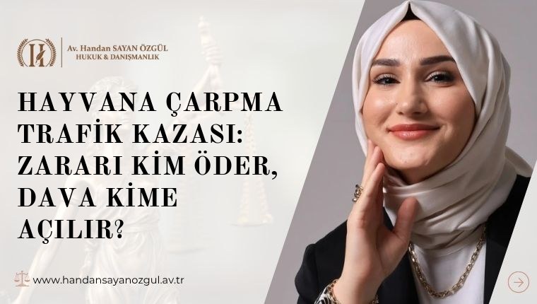 Hayvana Çarpma Trafik Kazası: Zararı Kim Öder, Dava Kime Açılır