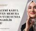 Dilekçemi Kabul Etmeyen Memura Suç Duyurusunda Bulunabilir miyim