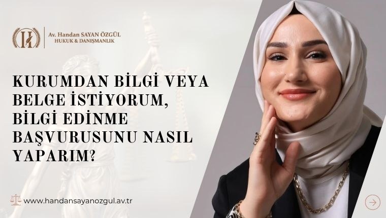 Kurumdan Bilgi veya Belge İstiyorum, Bilgi Edinme Başvurusunu Nasıl Yaparım